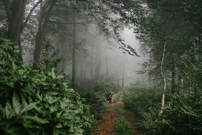Group Hiking Tour in Mtirala National Park - Transportation Details