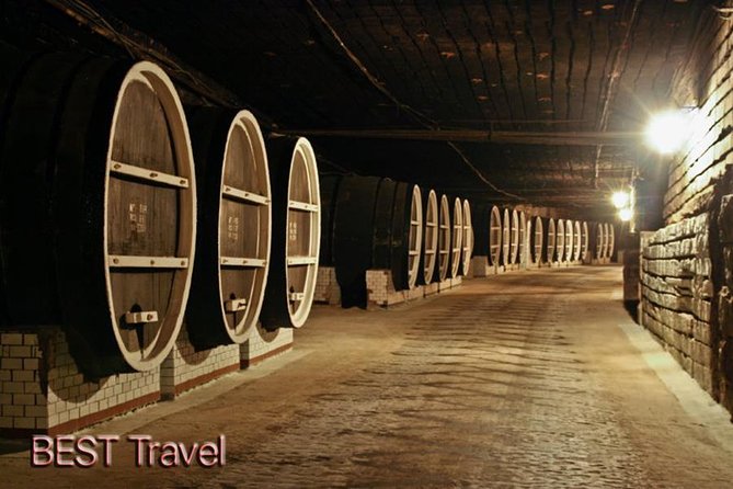 GROUP - Milestii Mici Winery With Tasting - Constant Temperature and Humidity