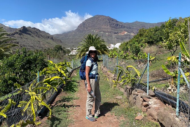Group Walks in Mogán - Inclusions and Amenities