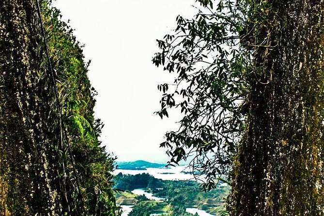 Guatapé Town, Coffee Farm and the Rock - Exploring Guatapé Town