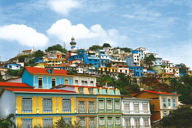 Guayaquil PRIVATE Departure Transfer From Hotels to the Airport. - Inclusions and Pricing