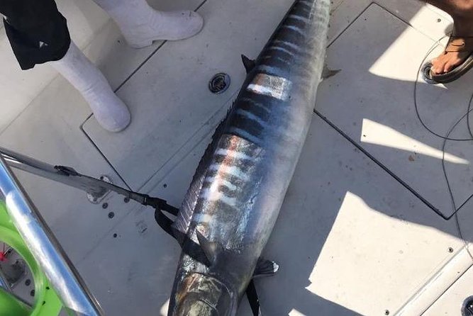 Guided 8 HR Full Day Fishing / Snorkel Private Charter Trip 40 Mega Bite - Meeting and End Points