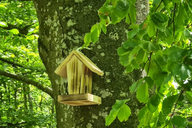 Guided Balkan Deep Forest Tour - Inclusions and Amenities