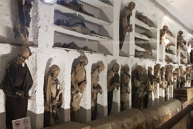 Guided Bike Tour to the Capuchin Catacombs - Inclusions