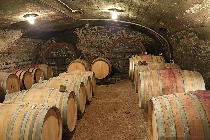 Guided Day of the Beaujolais Cellars With Tasting - Tasting and Wine Insights
