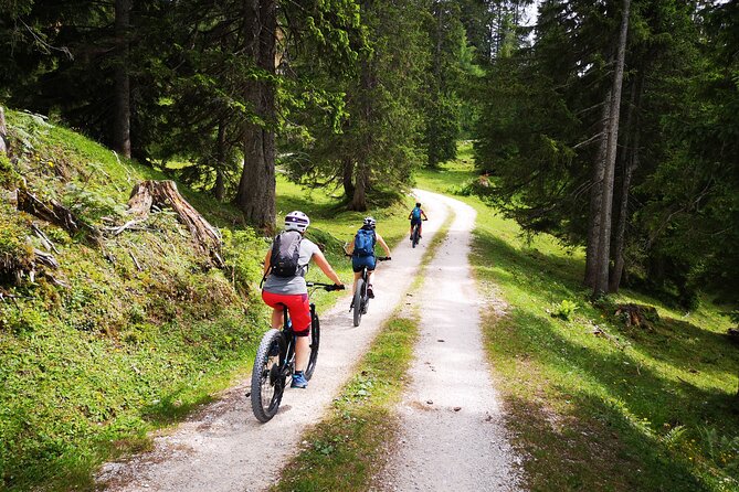 Guided E-Bike Tour of the Alpine Pastures in the Salzkammergut - Meeting Point and Logistics