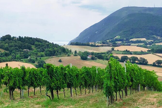 Guided E-Bike Tour With Food and Wine Tasting. - Inclusions