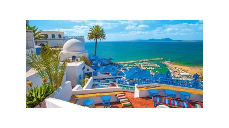 Guided Excursion : Tunis, Carthage and Sidi Bou Saïd - Itinerary Highlights