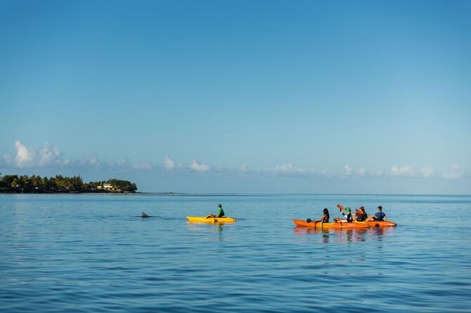 Guided Kayak 2-Hour Activity With Dolphins - Location and Meeting Details