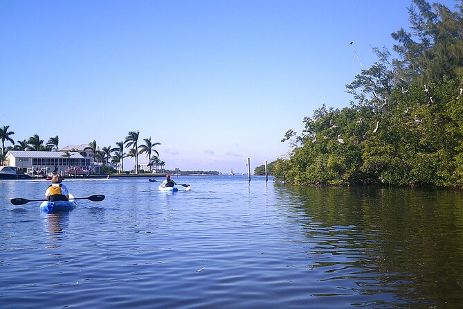 Guided Kayak Sunset Tour in Pelican Bay at Fort Myers Beach - Meeting and Pickup