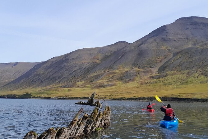 Guided Kayak Tour in Siglufjordur. - Included Amenities