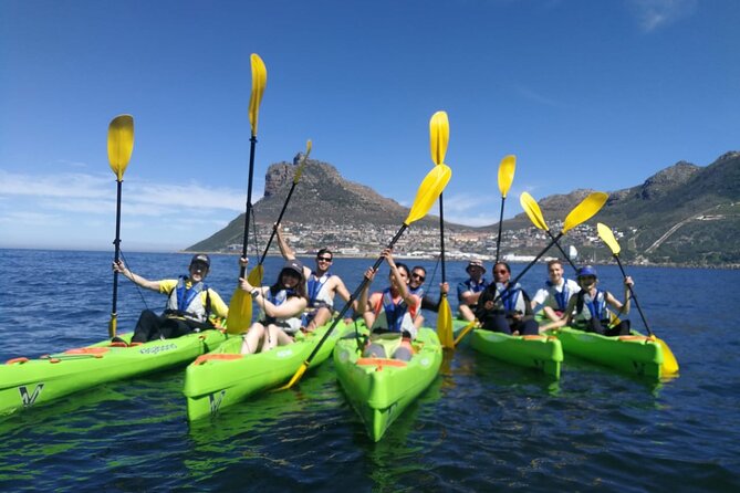 Guided Kayaking in Hout Bay - Experience Highlights