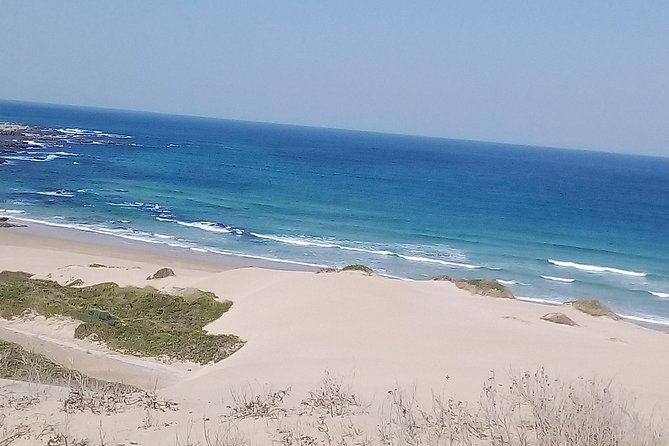 Guided Marine Walk: - Sardinia Bay (Marine Protected Area) - 3 Hours - Meeting and Pickup Details