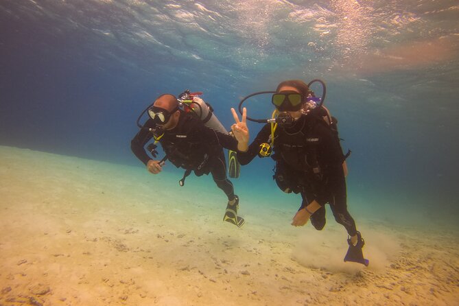 Guided Padi Discover Scuba Diving for Non-Certified Divers - Included Services