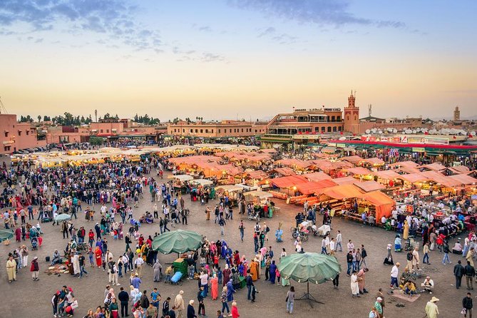 Guided Shared Day Trip Agadir to Marrakech Medina & Souks - Transportation and Accessibility