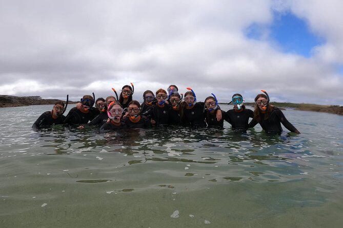 Guided Snorkel Activity at Coral Beach Carraroe, Galway - Meeting and Pickup