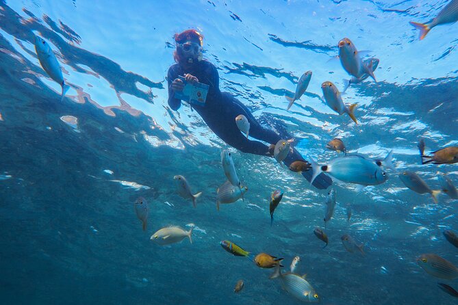 Guided Snorkel Experience - Meeting and Pickup