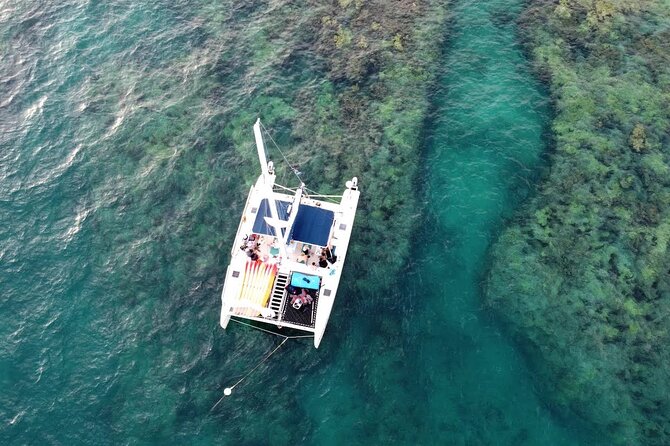 Guided Snorkel + Morning Sail - Small Groups With Honest Eco - Inclusions and Amenities
