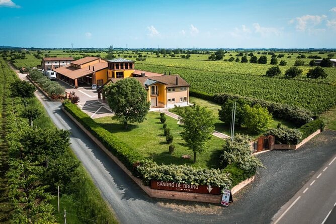 Guided Tour and Wine Tasting in the Sandro De Bruno Winery - Additional Info