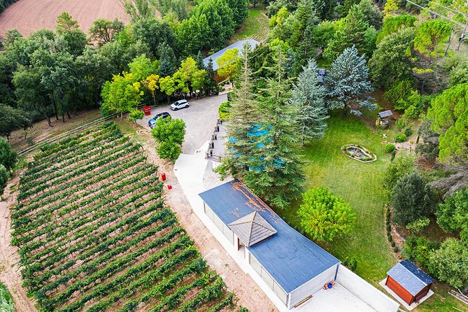 Guided Tour and Wine Tasting - Accessibility and Accommodations