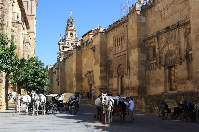 Guided Tour: Discover the 2 Great Monuments in Córdoba: Mosque and Alcázar. - Accessibility and Participation