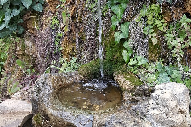 Guided Tour in Talanta Watermill & Liotrivi Historical Estate With Tasting &Meal - Accessibility and Participation