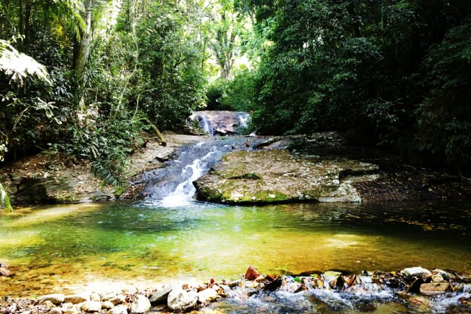 Guided Tour in Tijuca Forest With Transfer - Exploring Tijuca National Park
