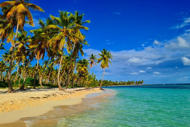 Guided Tour to Saona Island From Punta Cana - Health and Accessibility