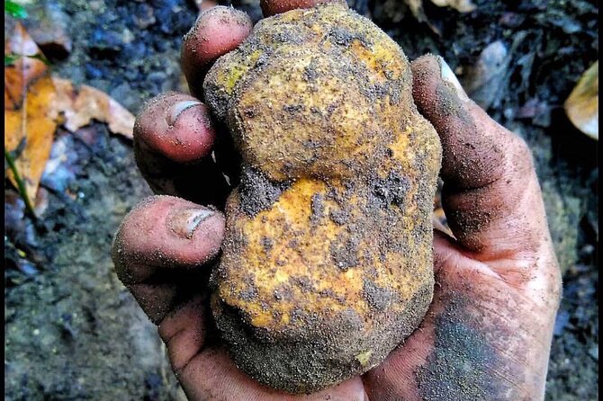 Guided Truffle Hunt in Torri in Sabina With Lunch - Menu Details
