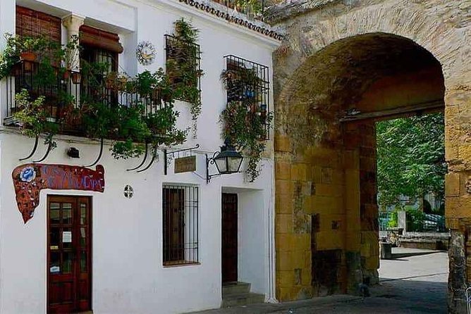 Guided Visit to the Mosque and the Jewish Quarter of Cordoba - Accessibility