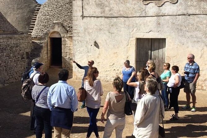 Guided Visit to the Vineyard With Wine Tasting - Savoring the Apulian Delicacies