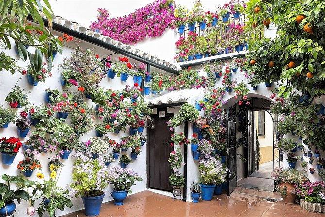 Guided Walking Tour in Cordoba - Architectural Highlights