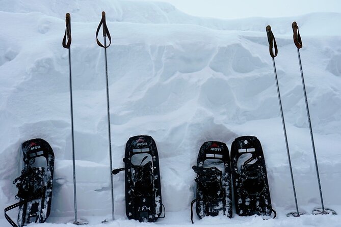 Guided Wilderness Snowshoes Expedition Tour in Rovaniemi - Accessibility and Participant Guidelines
