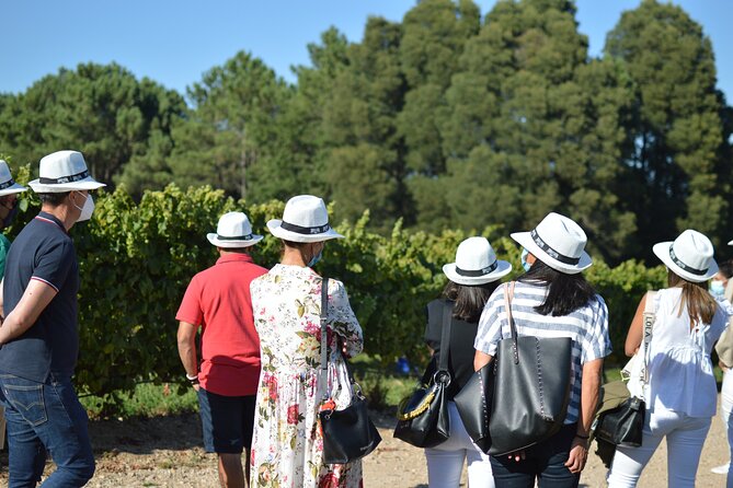 Guided Winery Tour and Wine Tasting in Pontevedra - Exploring the Winery