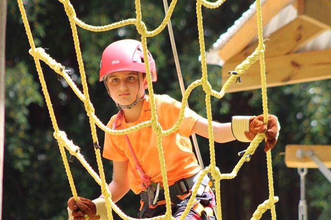 Gully Challenge Course & Cave Tour at Harrisons Cave by Chukka - Inclusions and Exclusions