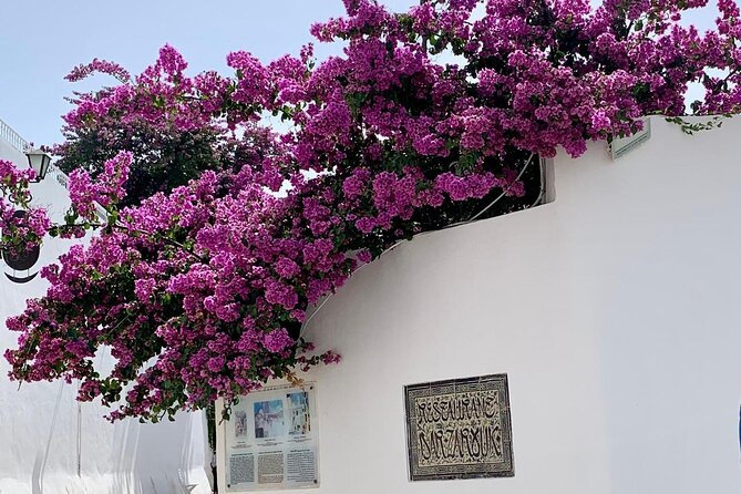 Half a Day in Sidi Bousaid From Hammamet - Visitor Experiences