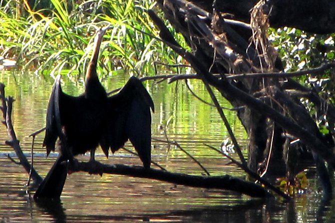 Half-Day Birding Tour of Livingstone - Booking Your Tour
