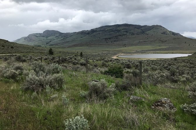Half Day Birdwatching in the South Okanagan - Abundant Bird Species