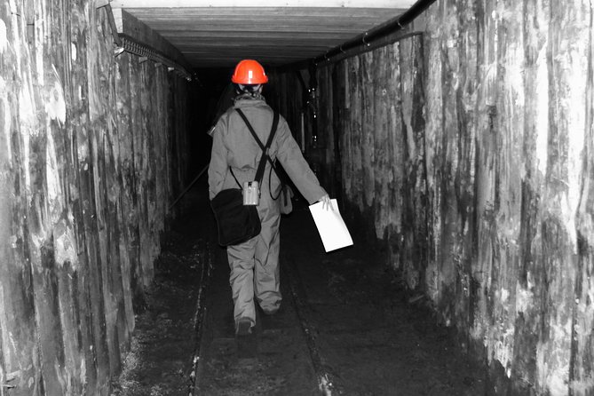 Half-Day Bochnia Salt Mine Private Guided Tour From Krakow - Whats Included