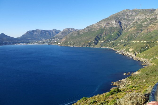 Half-Day Cape Peninsula Tour From Cape Town - Key Highlights