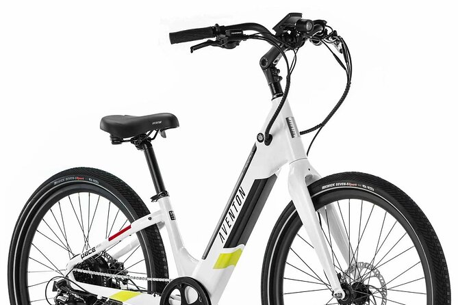 Half Day Electric Bike Rental on the Pinellas Trail - Benefits of Electric Bikes