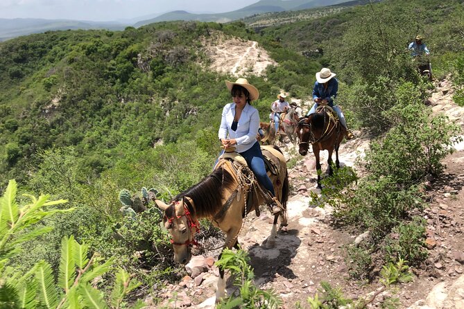 Half Day Excursion - Horseback Riding Adventure in SMA - Tour Highlights