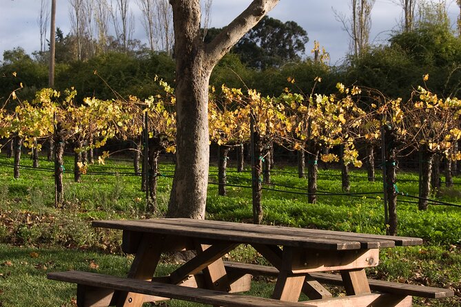 Half-Day Gramma Wine Tasting Tour in Iasi - Inclusions
