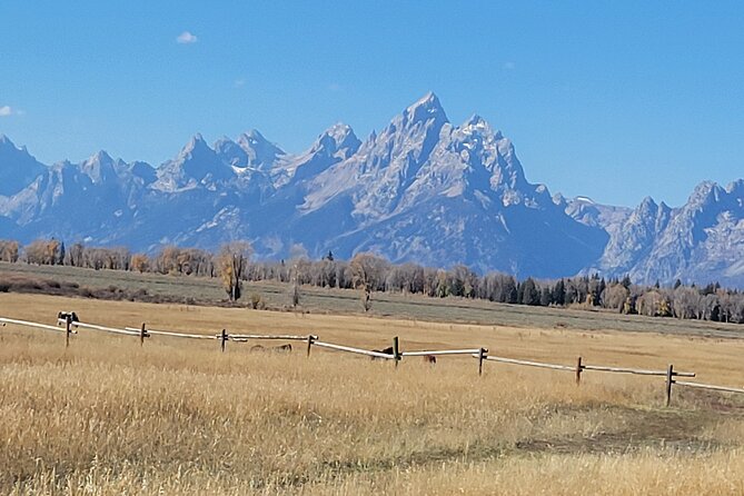 Half-Day Grand Teton National Park Wildlife Safari Private Tour - Inclusions and Pickup