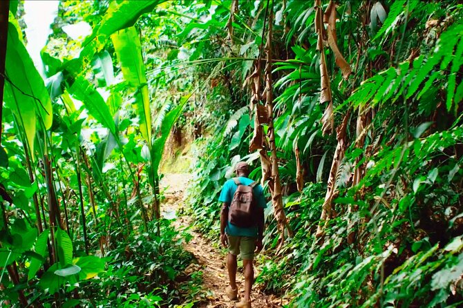 Half-Day Group Tour to Tobago Caribbean Coast - Meeting and Pickup Details