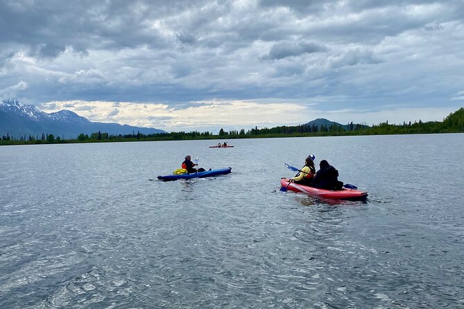 Half-Day Guided Kayak Tour on Knik River - Equipment Provided for Participants