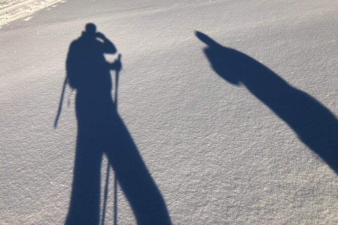 Half-Day Guided Snowshoe Hike in the Allgäu - Whats Included