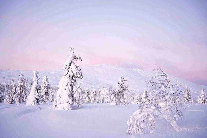 Half Day Guided Tour in the Wilderness of Levi - Gear and Preparation