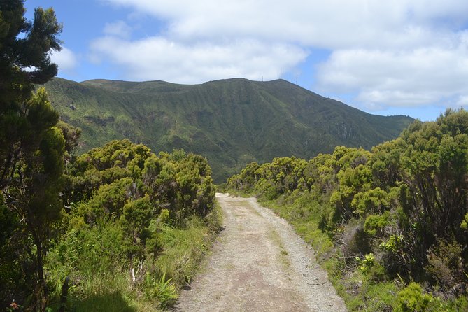 Half Day Hike Tour Lagoa Do Fogo Trail - Inclusions and Pickup Details