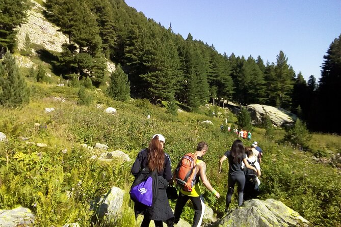 Half-Day Hiking With Private Mountain Guide in the Seven Rila Lakes - Cancellation Policy
